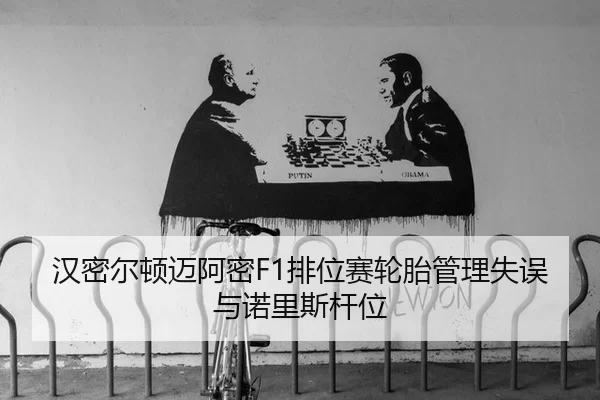 han-mi-er-dun-mai-a-mi-pai-wei-sai-lun-tai-guan-li-shi-wu-yu-nuo-li-si-gan-wei-3-125.jpg